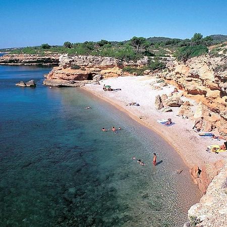 Xalet Piscina Privada Ibiscus Βίλα L'Ametlla de Mar Εξωτερικό φωτογραφία